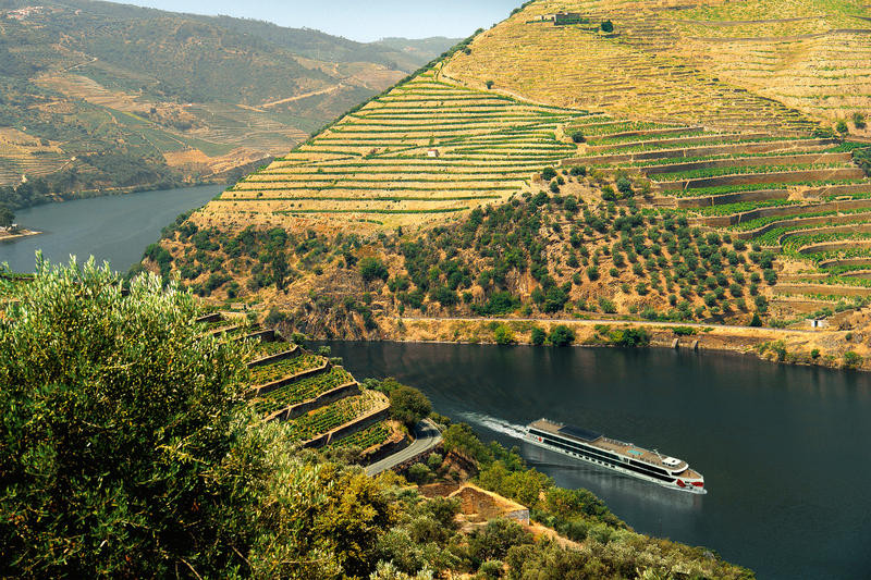 Douro, Weinberge | DOU22800