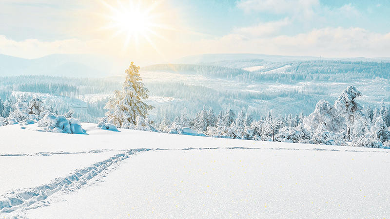 AdobeStock 307939587 Stunning panorama of snowy landscape in winter in Black Forest winter wonderland Von Corri Seizinger web | FRE16110