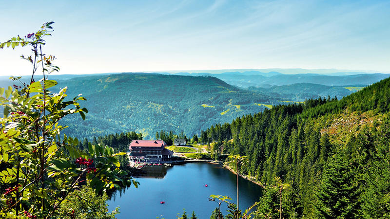 4-Tage Freiburg & Schwarzwald