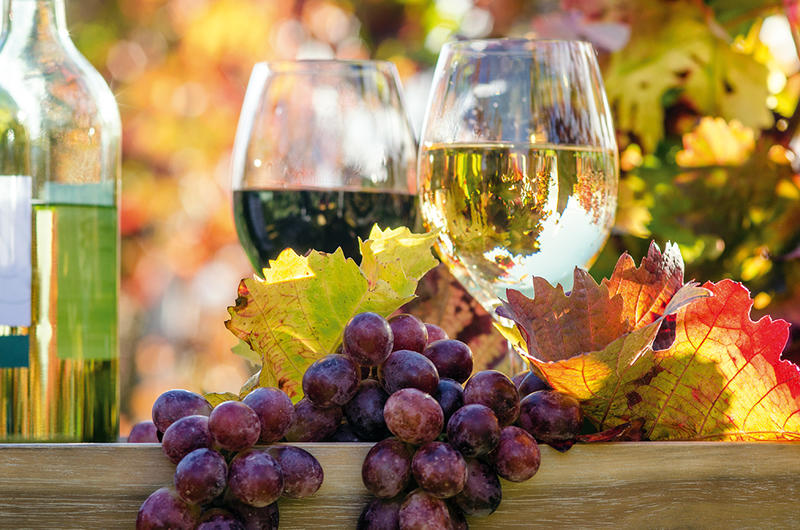 Ein Glas Rotwein und Weißwein neben einer Weinflasche, dunklen Trauben und bunten Herbstblättern im sonnigen Weinberg