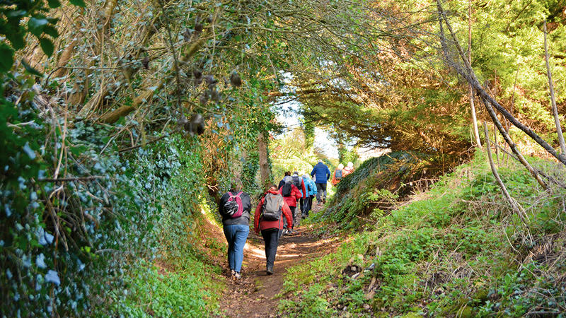 Wandern auf Usedom