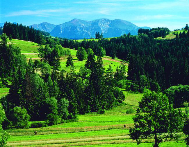 Hohe Tatra | POL11100