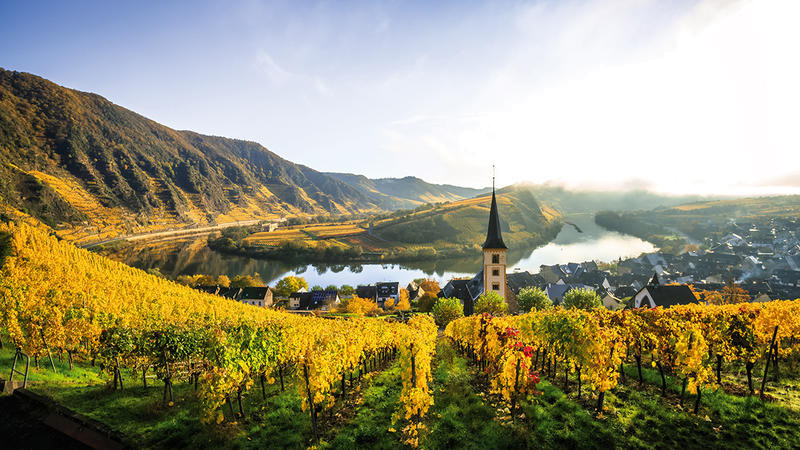 Saarschleife | TRI12400