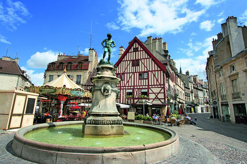 Dijon | DIJ10410